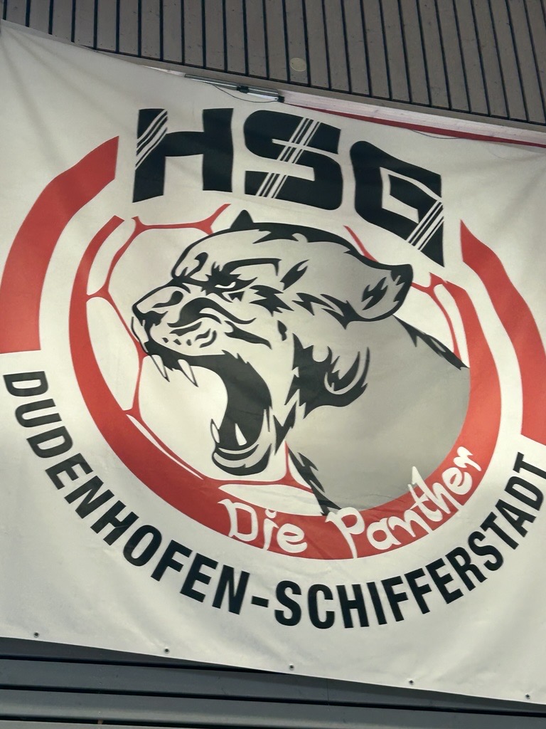 Dudenhofen-Schifferstadt gegen HC Koblenz mC1 (2)